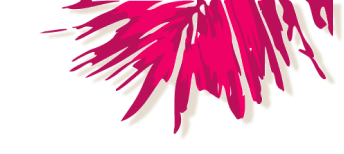 palm leaf illustration