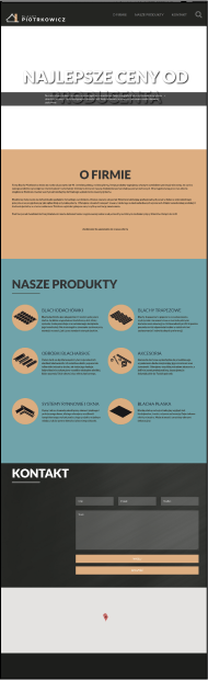 screenshot website www.blachypiotrkowicz.pl