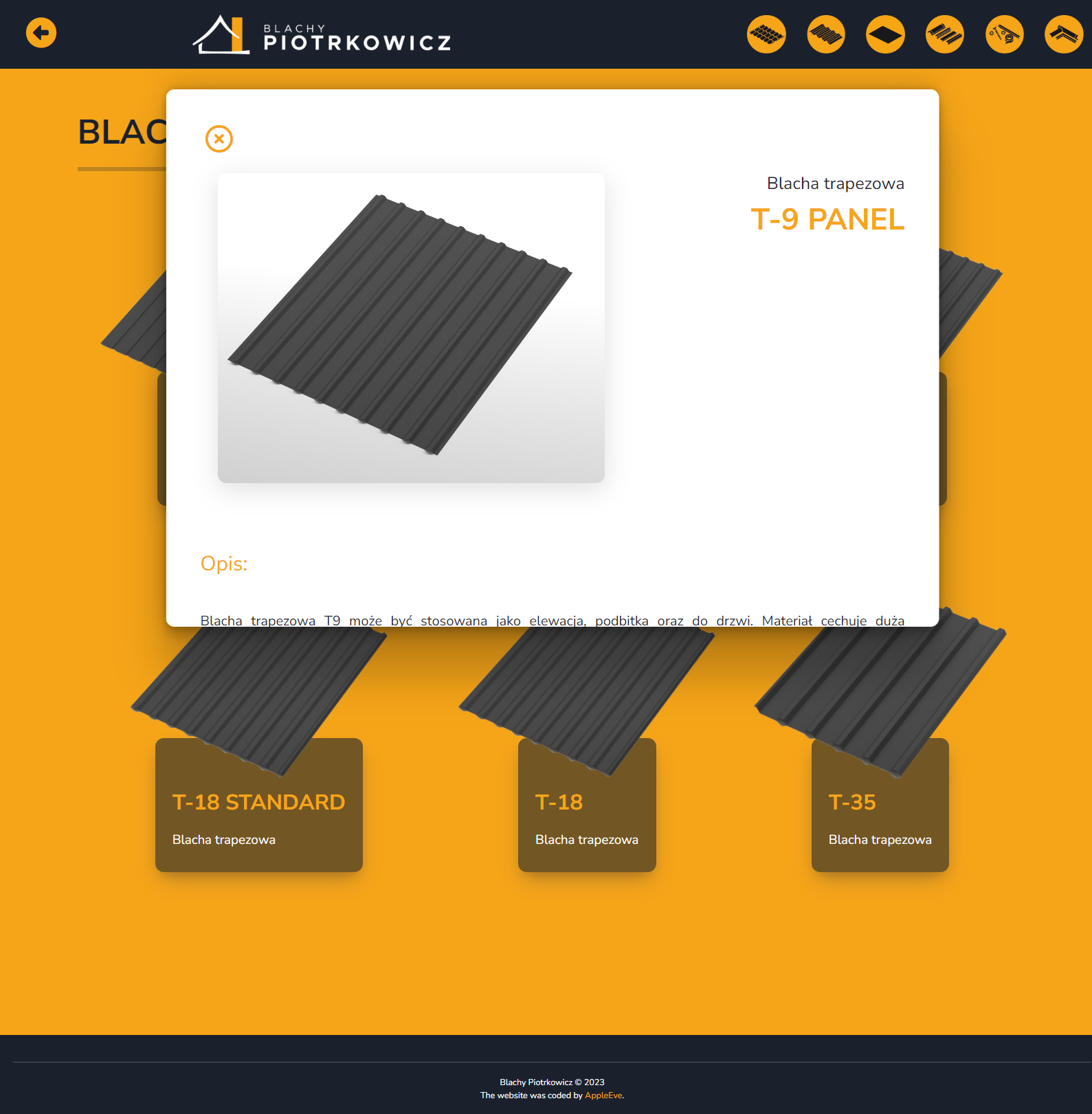screenshot website www.blachypiotrkowicz.pl